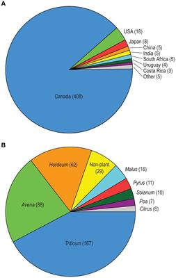 Species diversity and molecular characterization of Alternaria section Alternaria isolates collected mainly from cereal crops in Canada